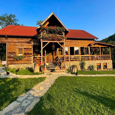 Cabana La Domnu' De Pe Vale Villa Aiud Exterior photo